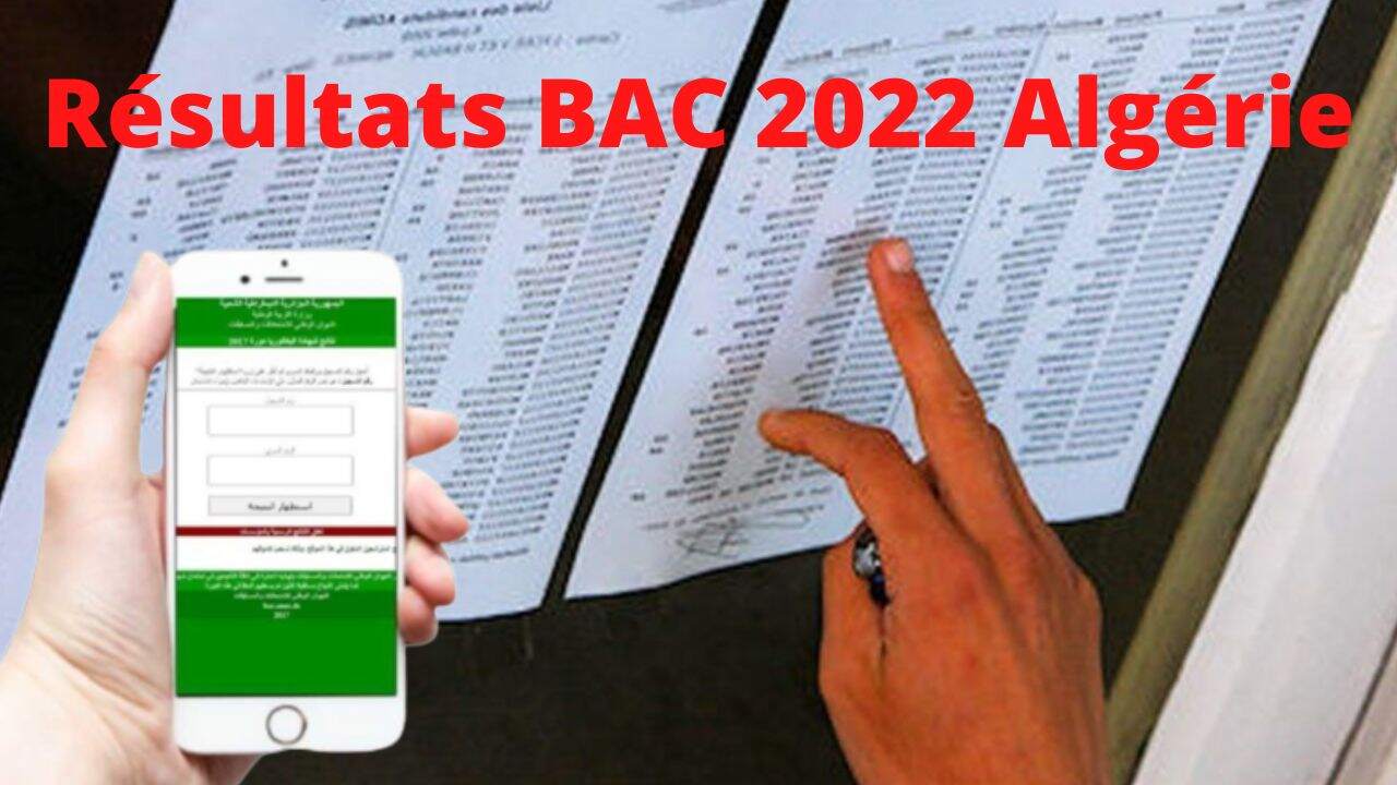 Bac Onec DZ 2022 découvrez vos résultats à l’examen par ici à partir