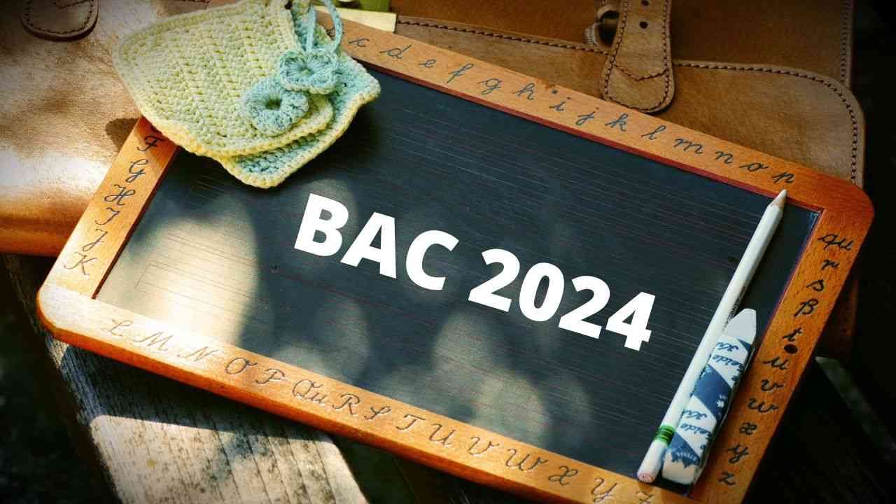 BAC en Algérie : une nouvelle filière verra le jour en 2024
